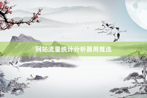 网站流量统计分析器用推选